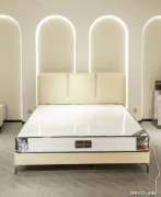 庭选择全屋定制的比例较2023年上涨22%